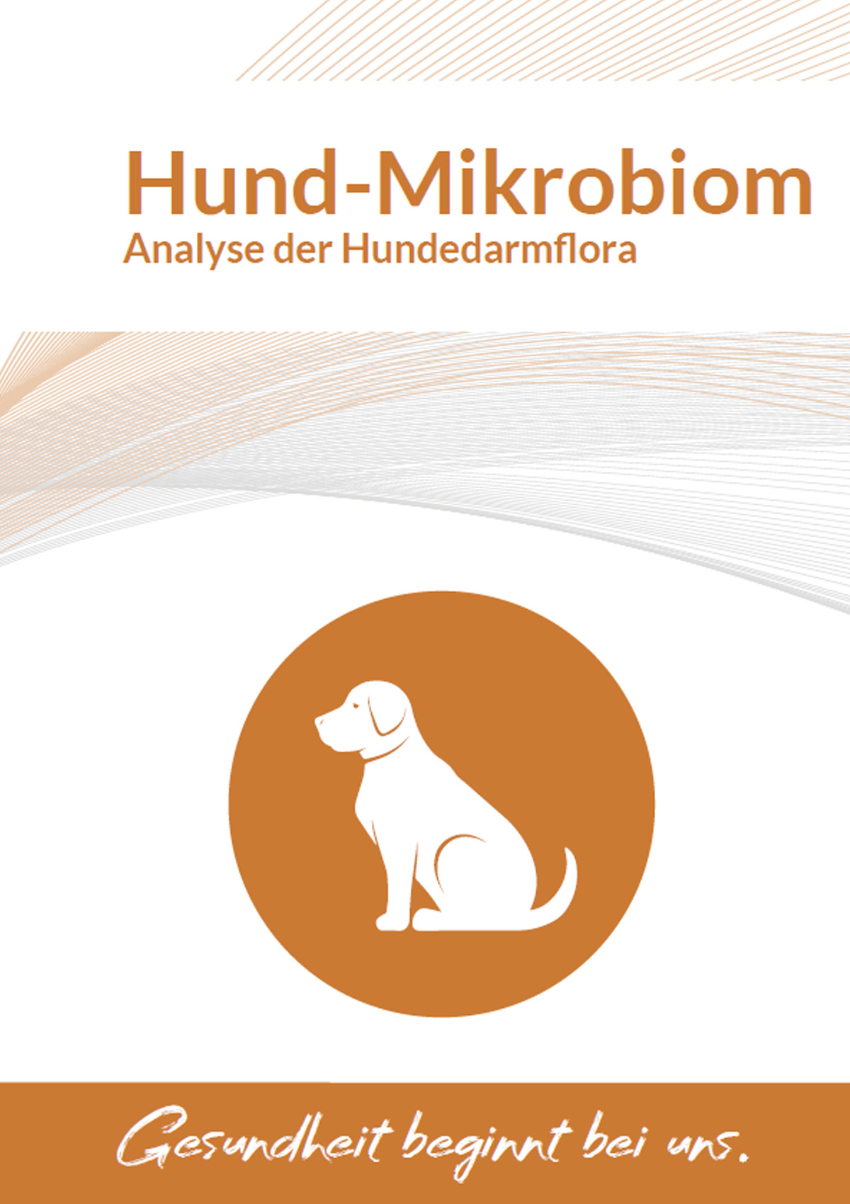 Mikrobiom-Hund